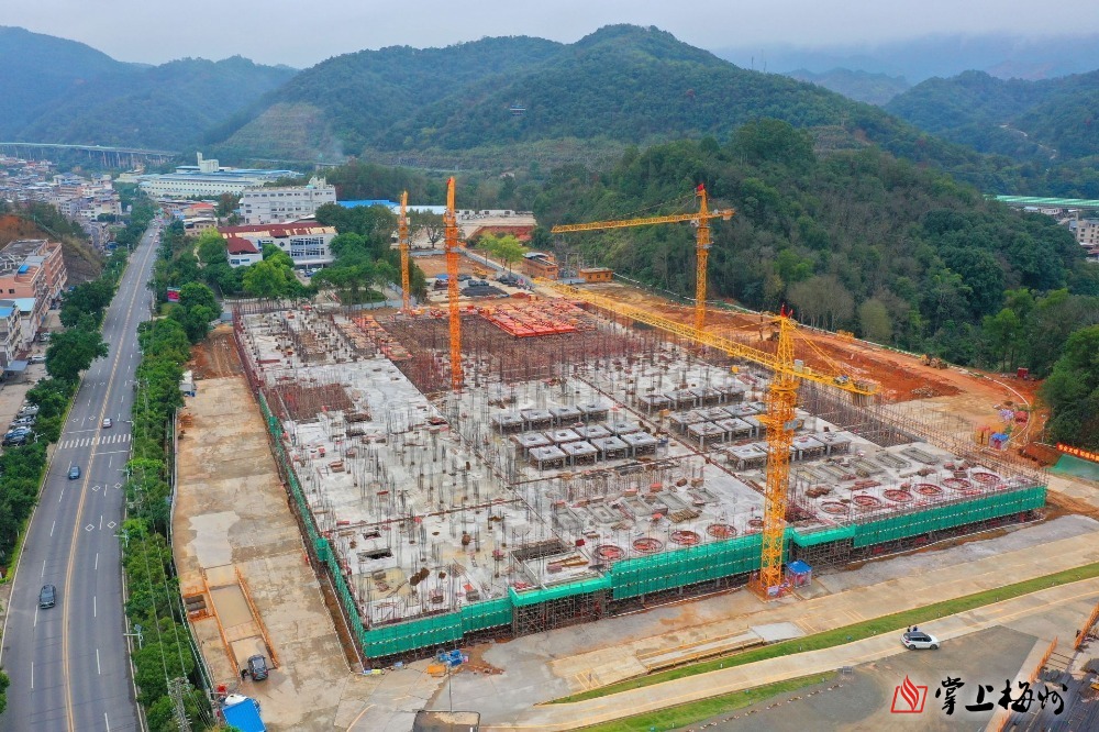 “新春走基层·企业行”全媒体采风团走进米兰官方注册科技